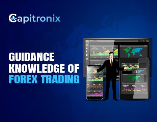 Hand holding holographic financial elements